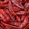 Chilli Guntur 1 kg